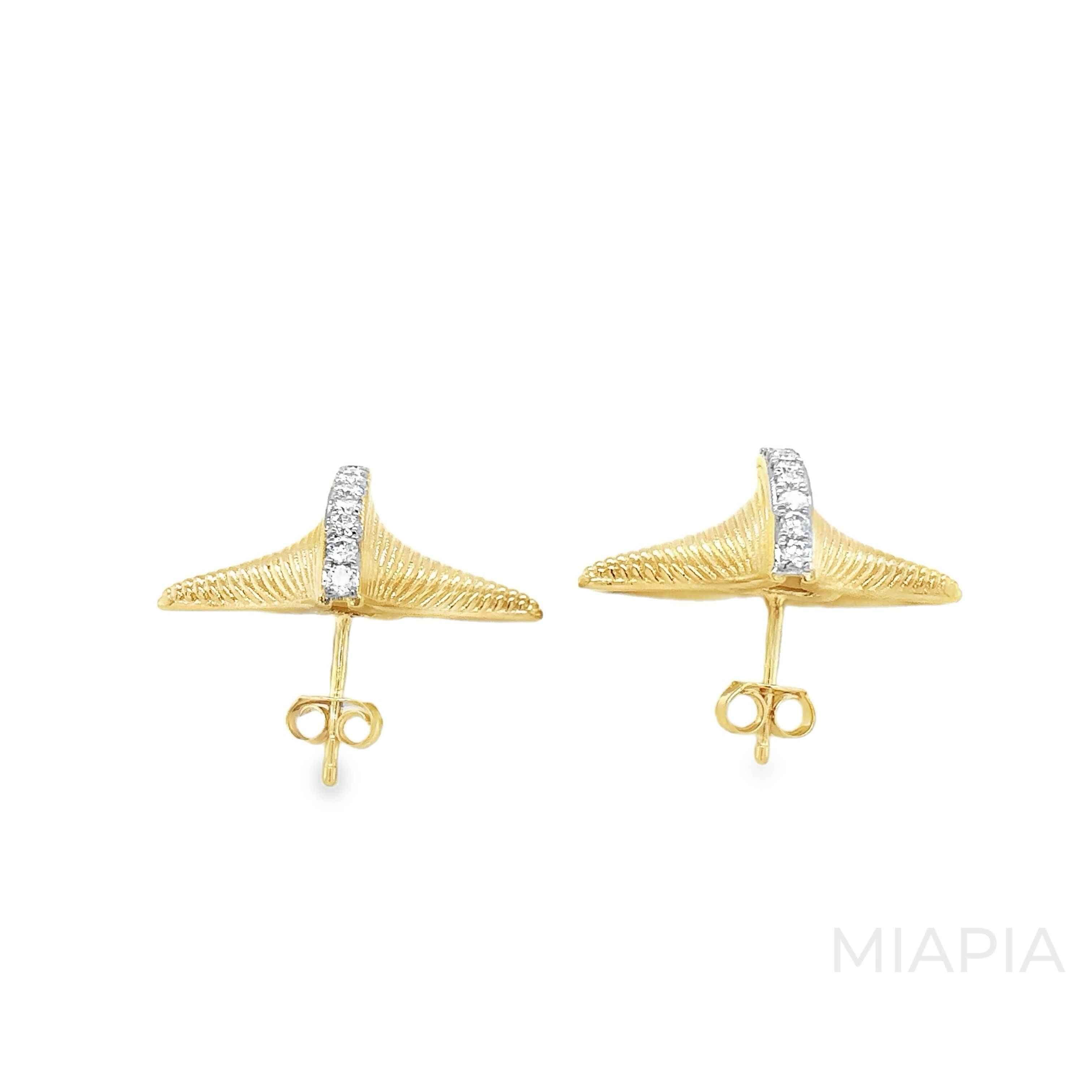 Radiant Shell Stud Earrings