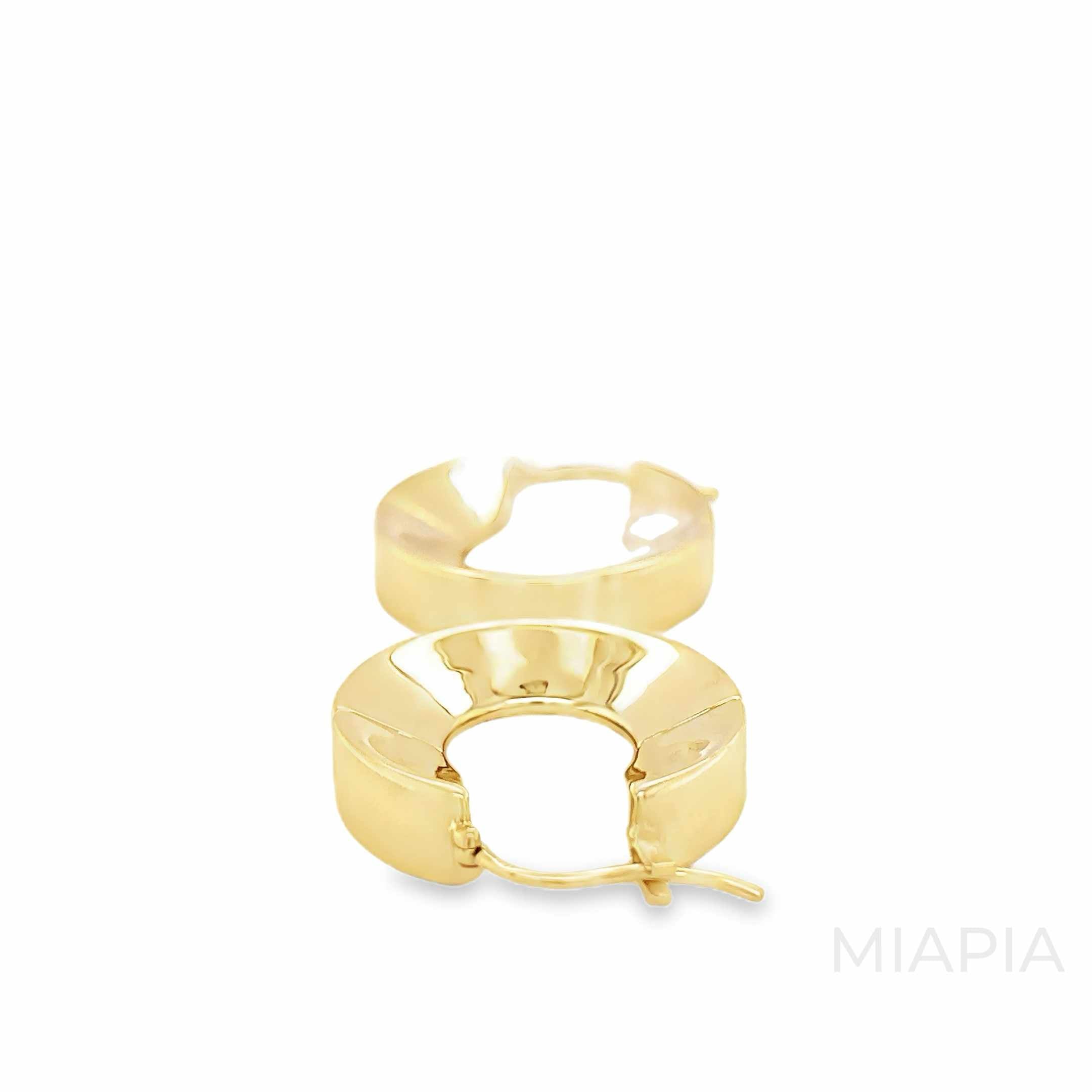 Golden Curve Earrings