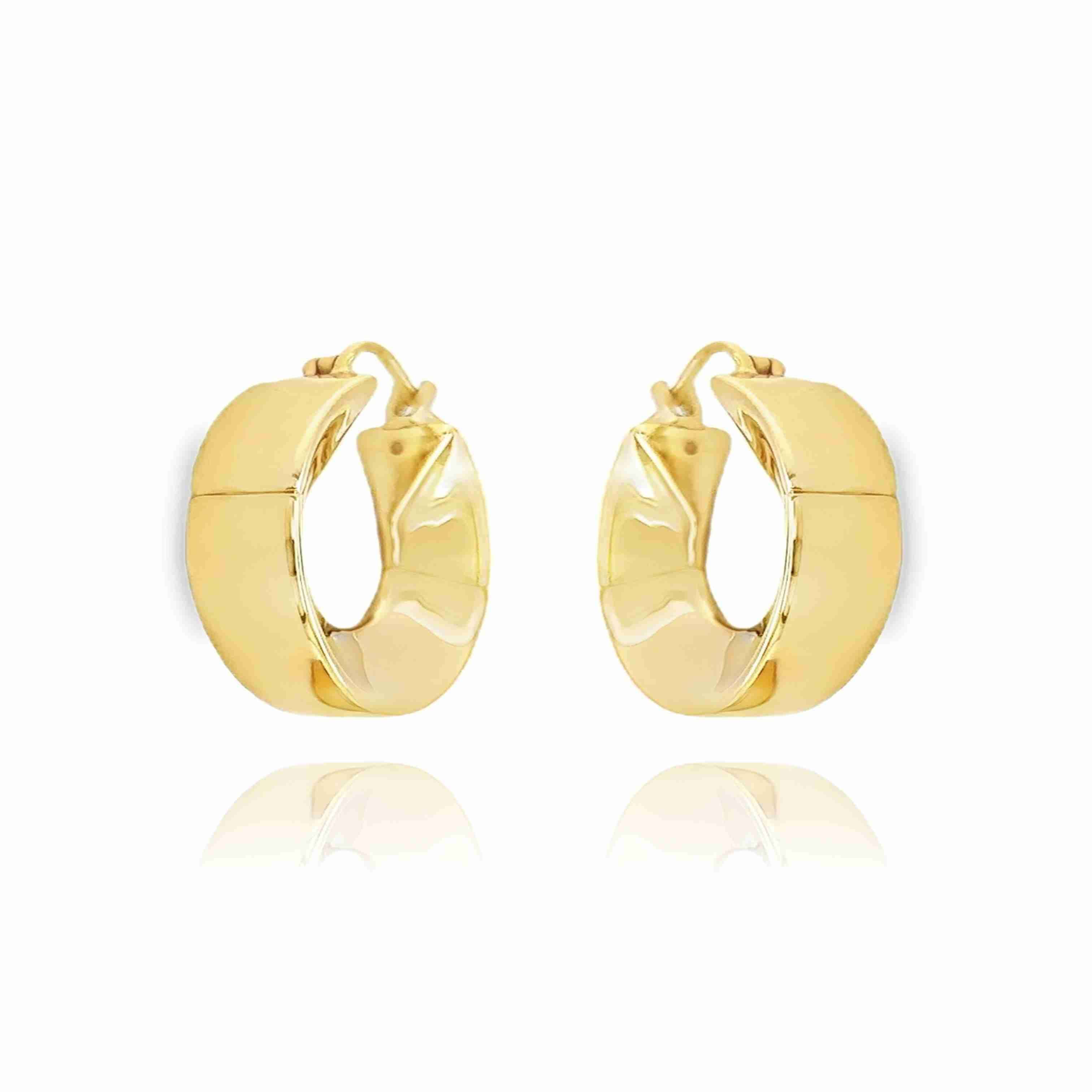 Golden Curve Earrings