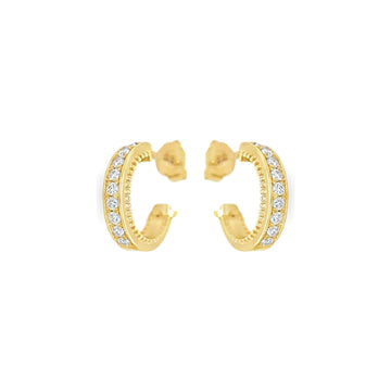 Radiant Curve Earrings