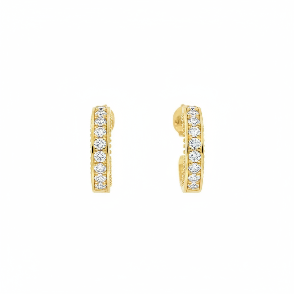 Radiant Curve Earrings